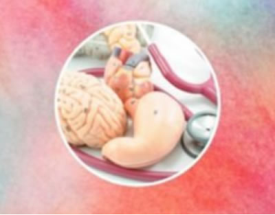 microbiota mini microbiota